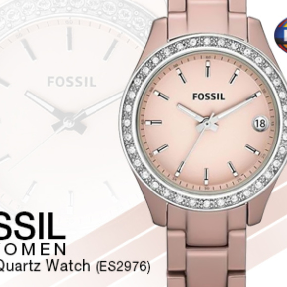 Fossil Date ES2976 Watch Crystal Bezel - Picture 4 of 4